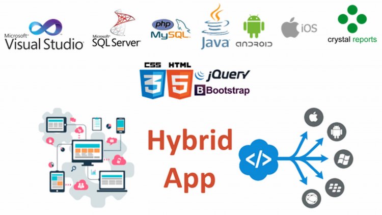 Custom Software Development Services