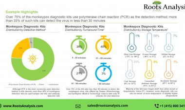 Monkeypox: Disease Overview, Transmission and Diagnosis