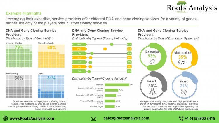 DNA and Gene Cloning Services market Analysis and Trends by 2022-2035