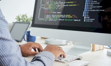 Why you should choose professional developers for your website development ?